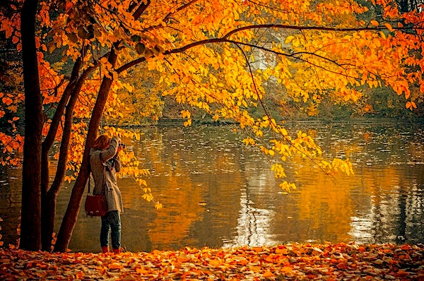 Autumnal scene of a lake with a woman taking a photo underneath a tree with beautiful foliage