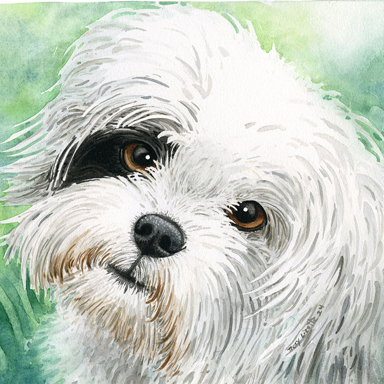 How to paint dog with white fur