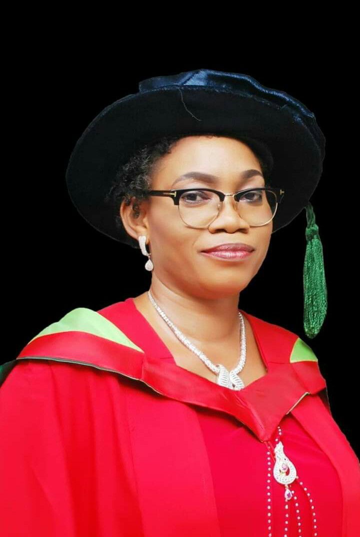 Prof Olushola Oladokun