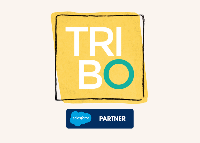Proyecto TRIBO - Salesforce Consulting Partners