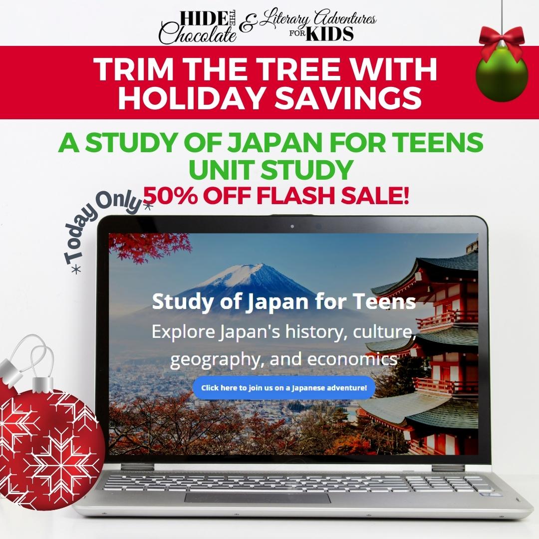 Study of Japan for Teens