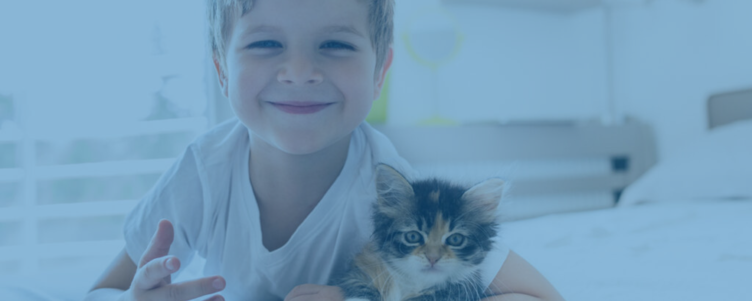 Antibiotic Treatment of Bartonella Infections