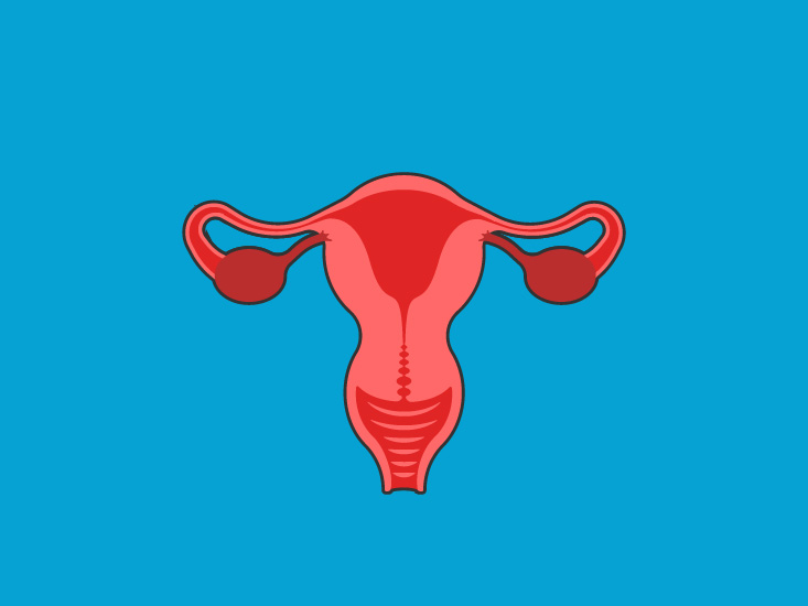 Female Reproductive System Course