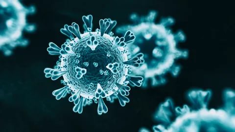 covid virus pandemia 