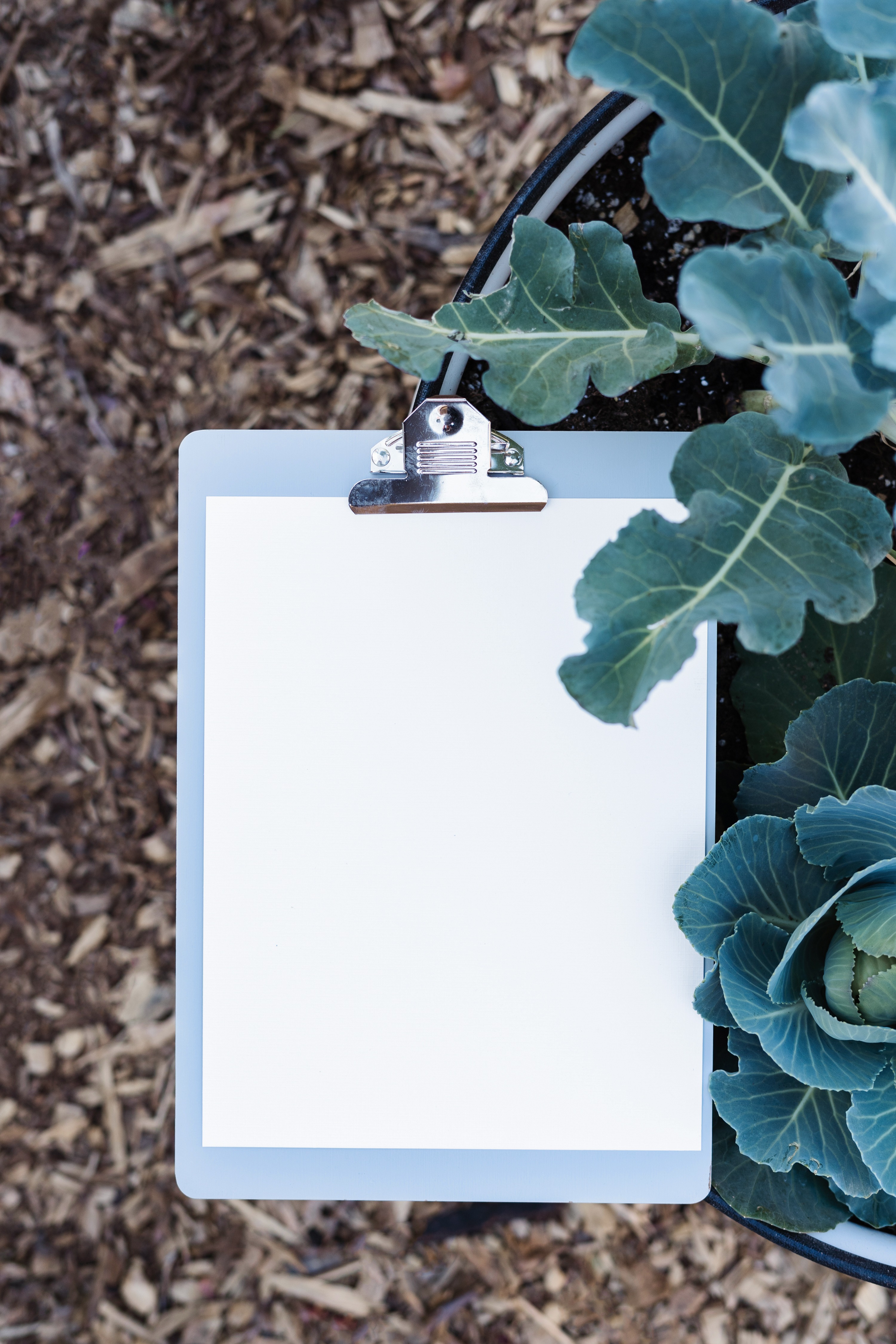 paper and clipboard in garden