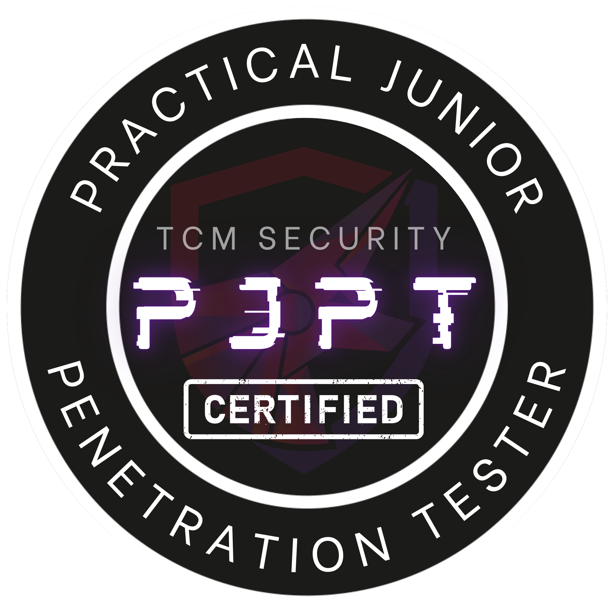 Practical Junior Penetration Tester