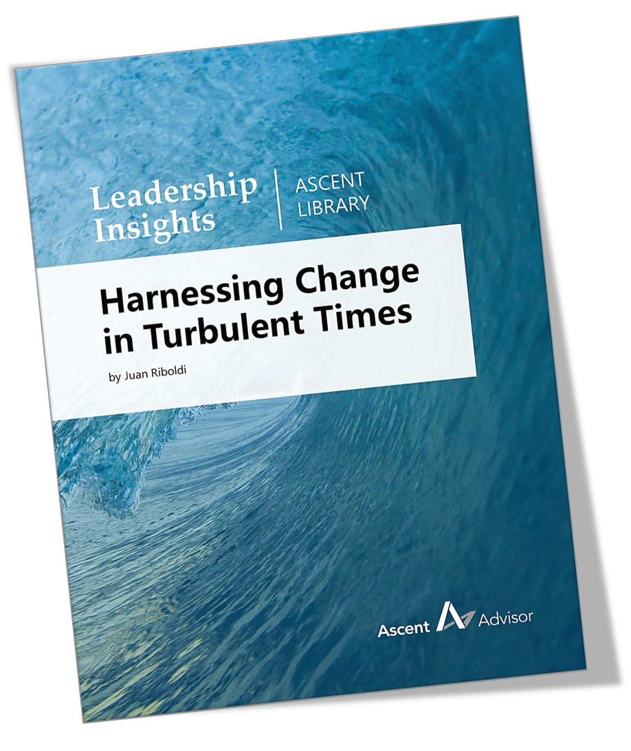 Harnessing Change in Turbulent Times
