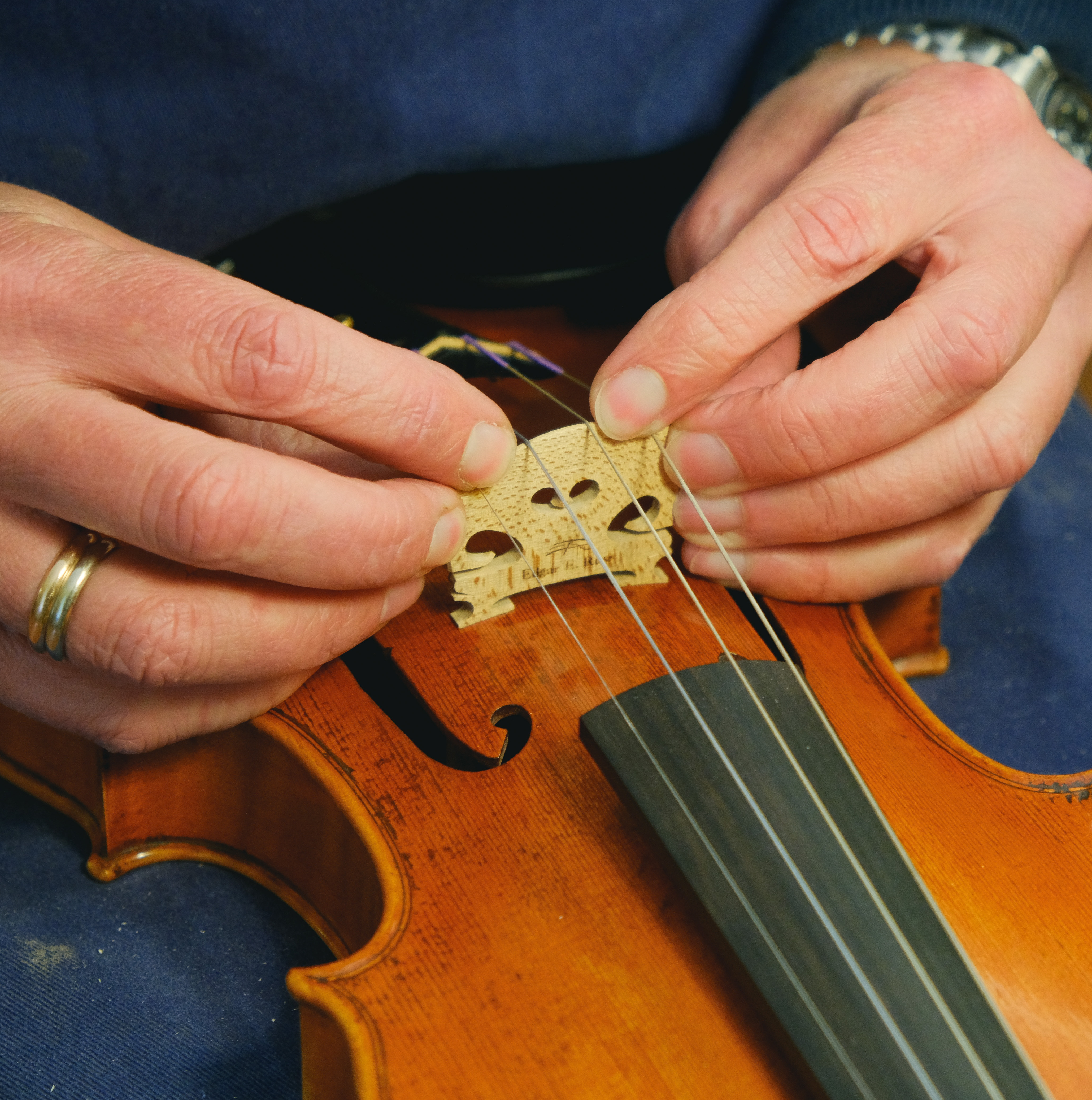 Edgar's Online Violinmaking Academy