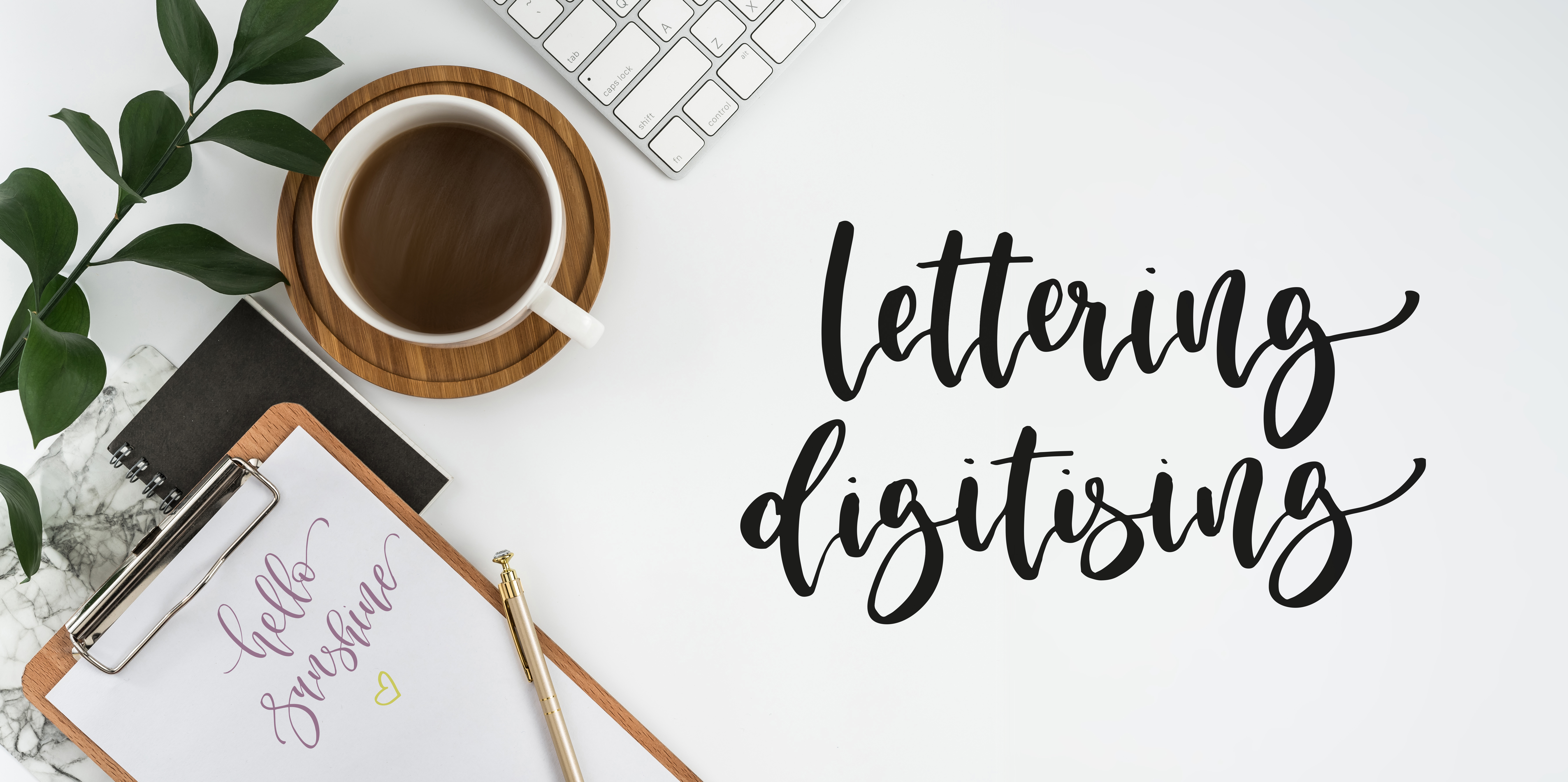 lettering digitising 