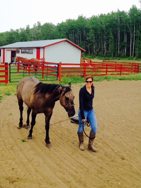 Foundations of animal assisted interventions training | wright psych