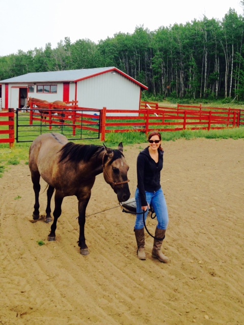 animal assisted interventions training