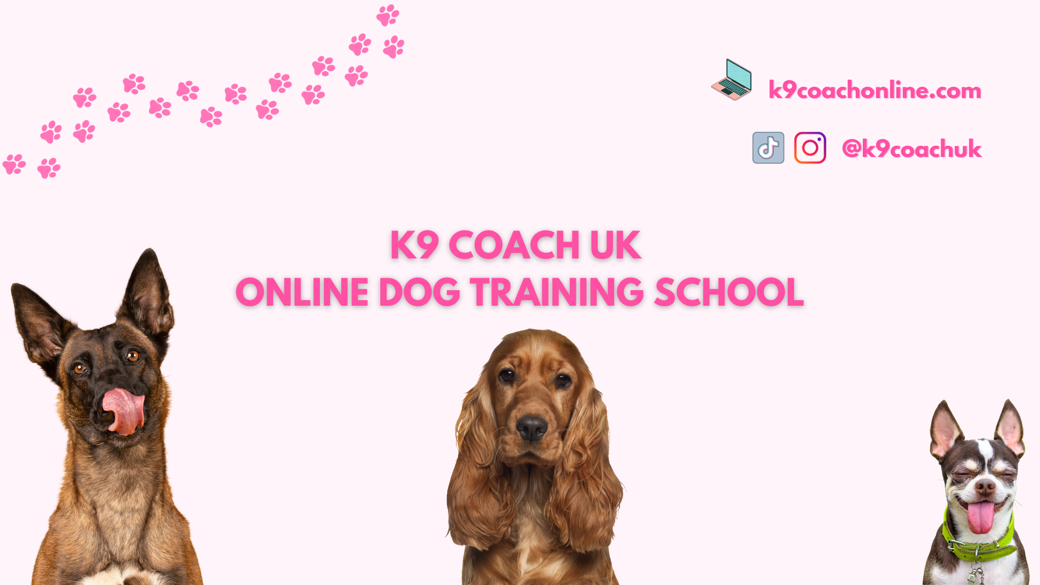 Dog training centres near hot sale me