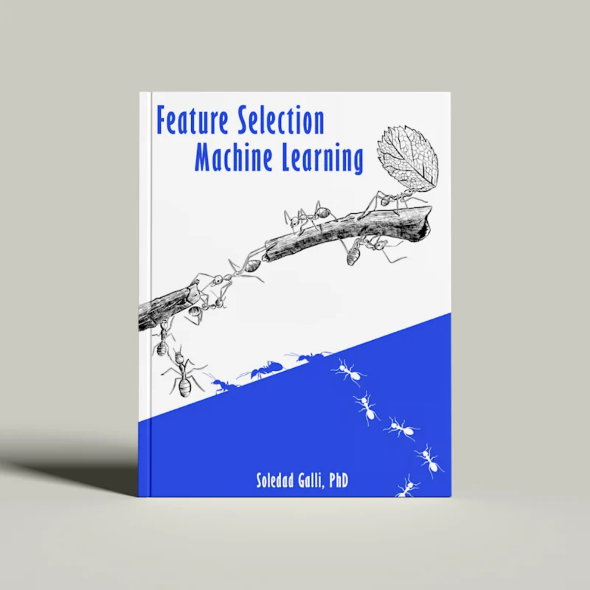 Feature selection in machine learning with Python book