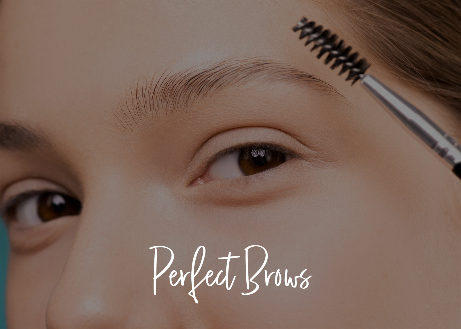 Perfect Brows