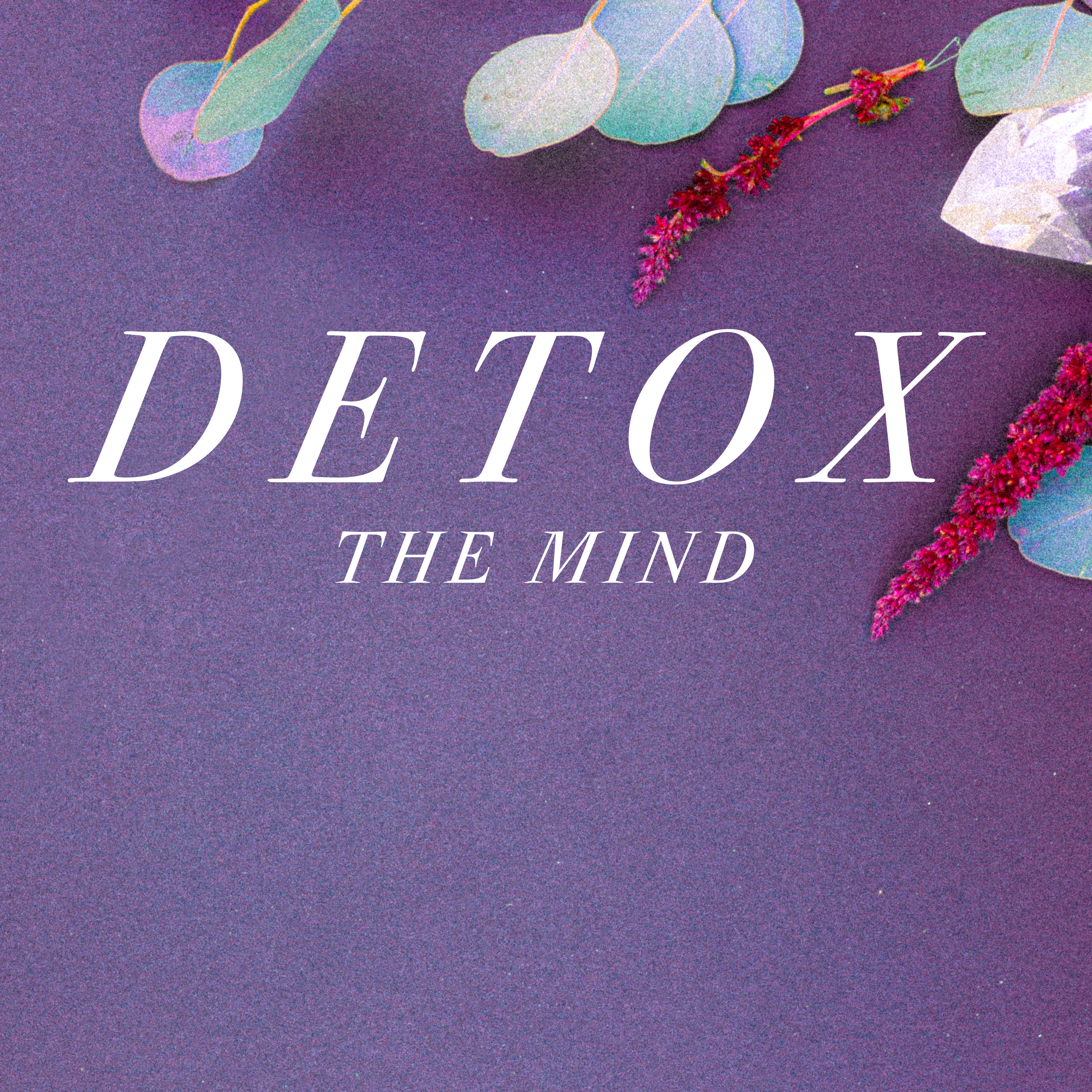 Detox the Mind