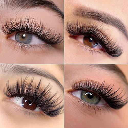 Multiple Lash courses available!