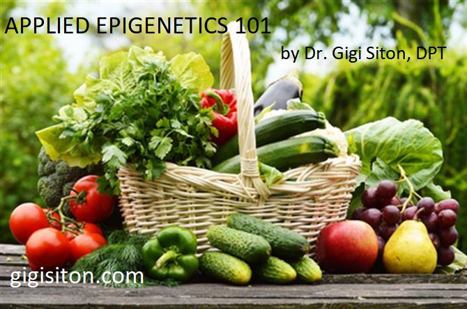 Epigenetics Nutrition Physical Therapy