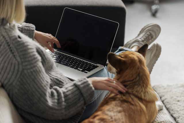 woman sitting on floor with laptop dog beside