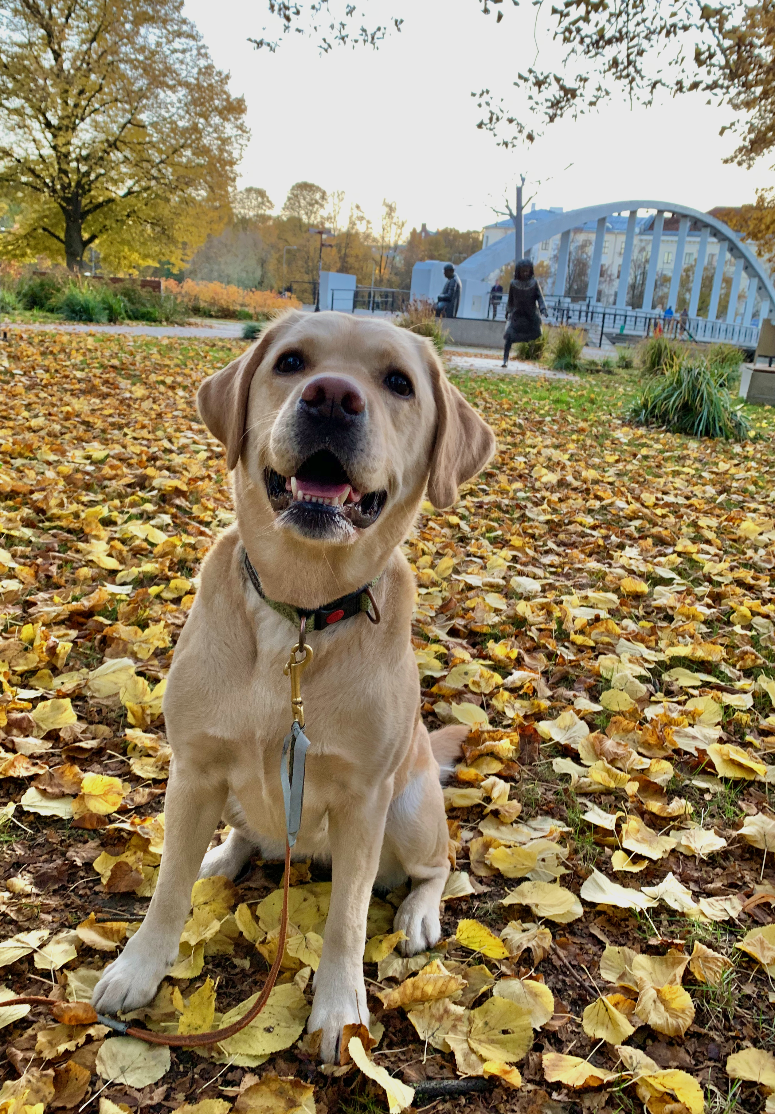 Best friend,  ©2020 Kristina Mägi