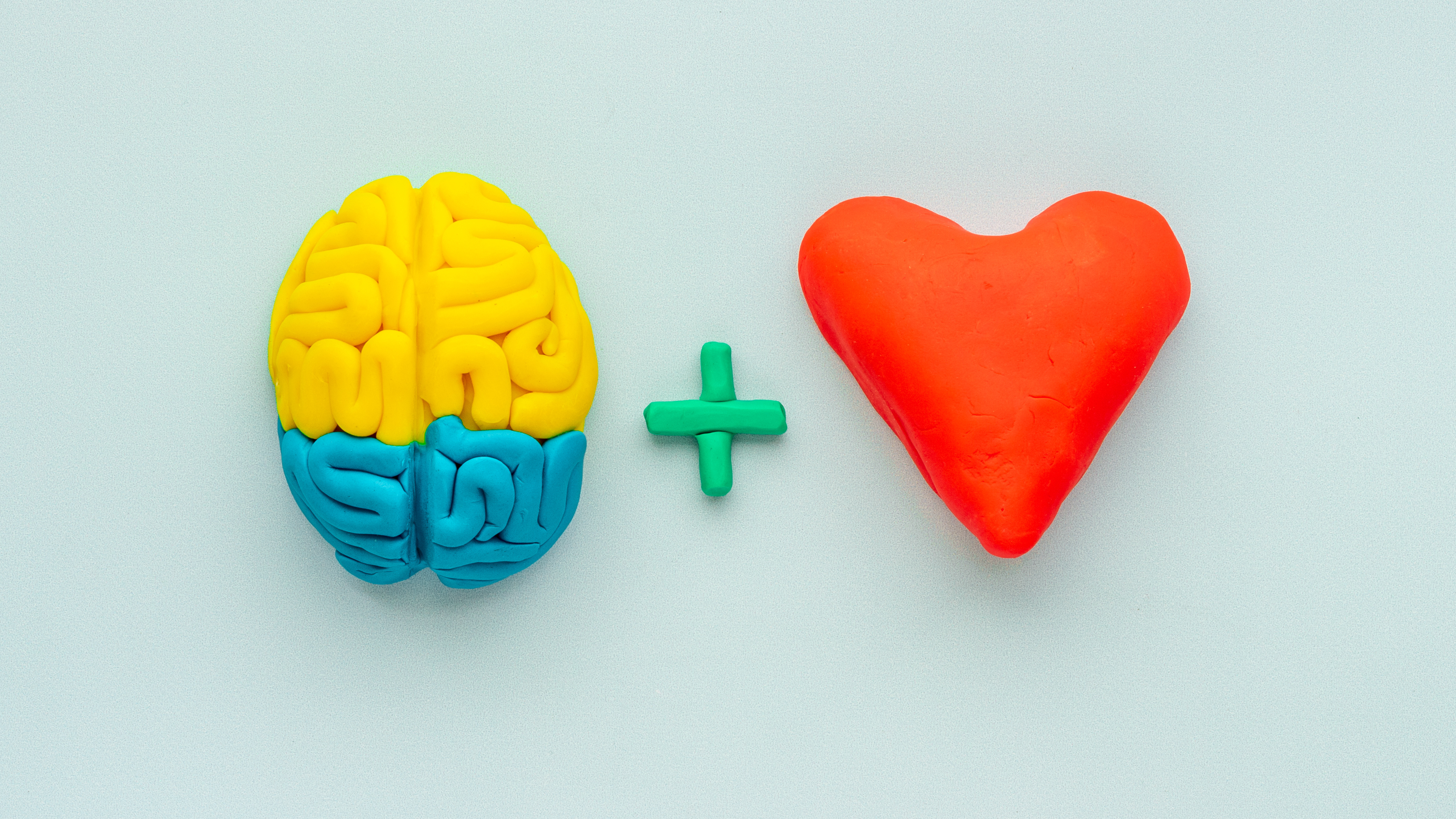 brain and heart 