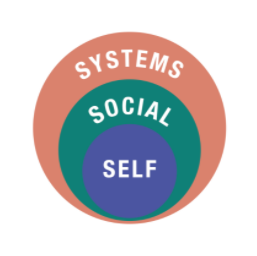 Self Social Systems