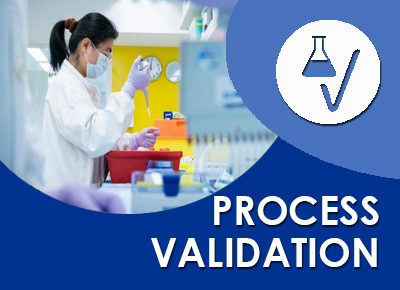 Online Training On Understanding the Process Validation Life Cycle