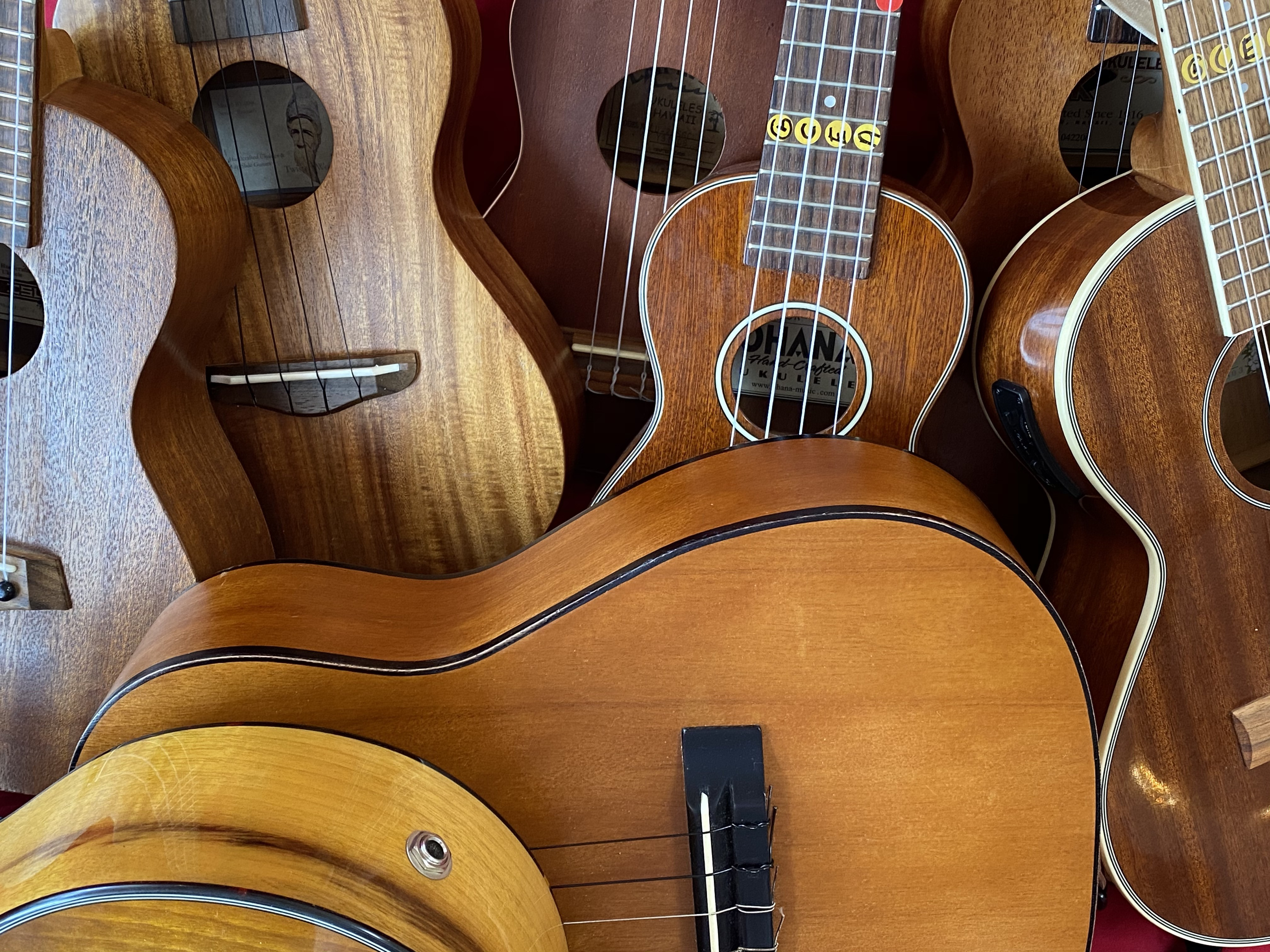 ukulele's with different wood types