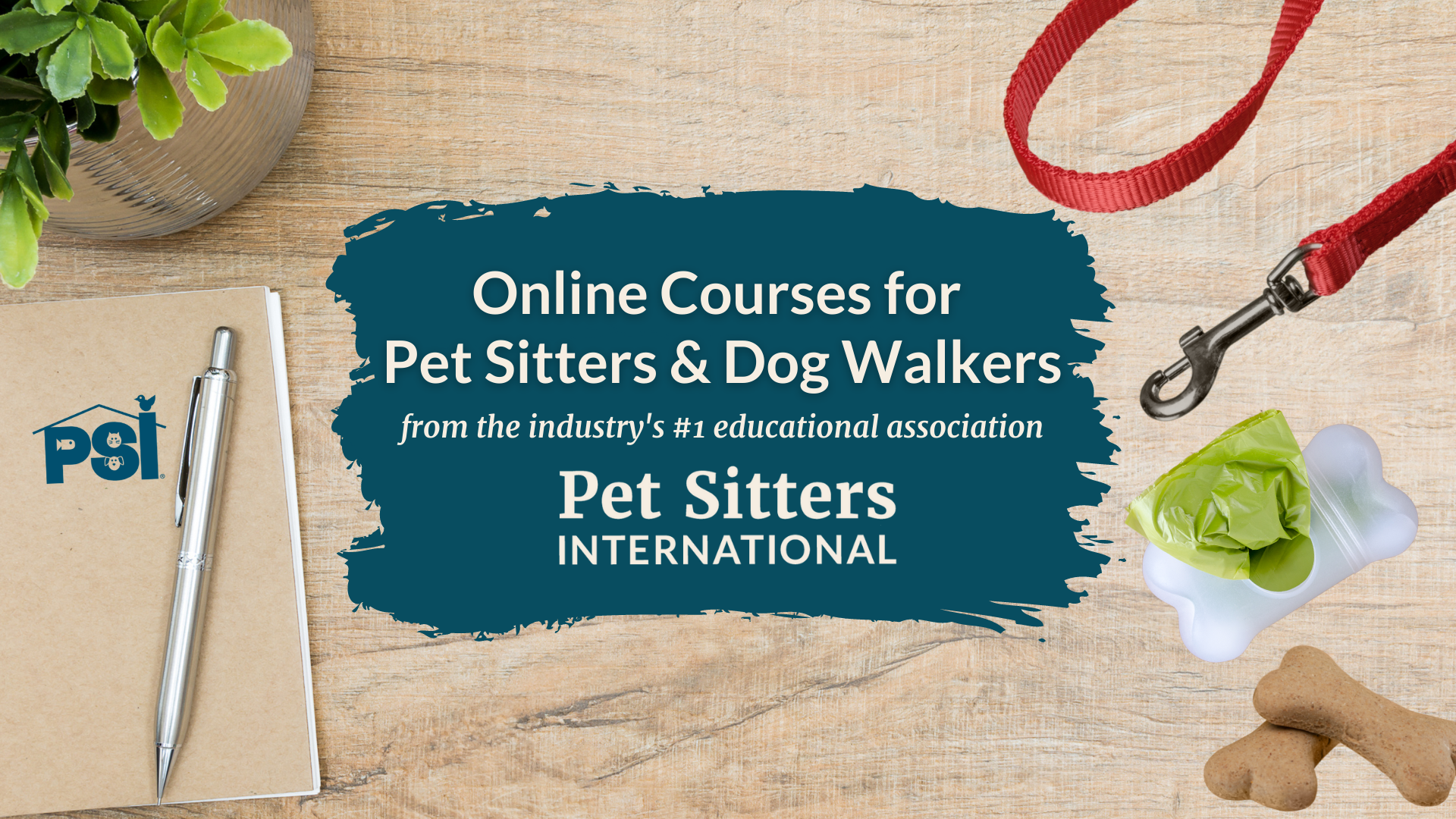 Pet sitter hot sale international