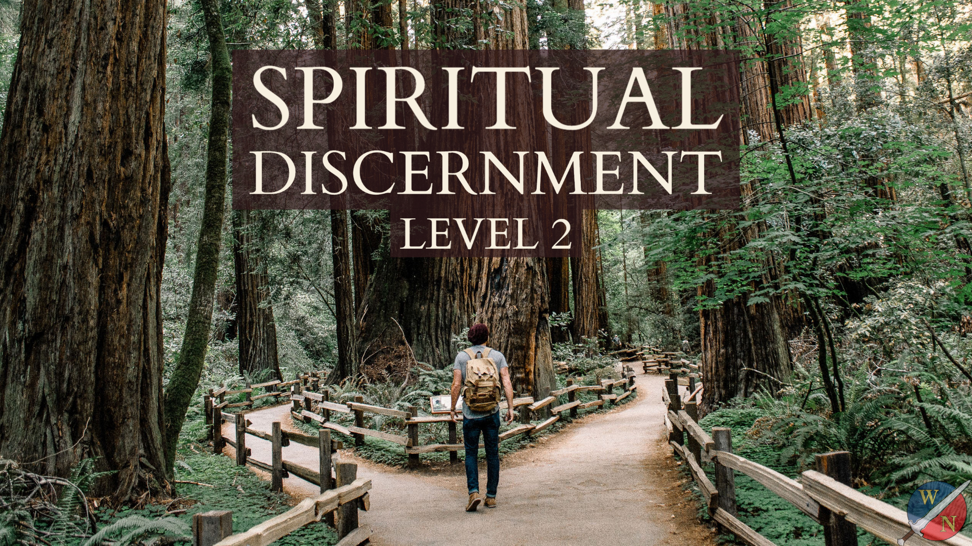 Spiritual Discernment Level 2 course image