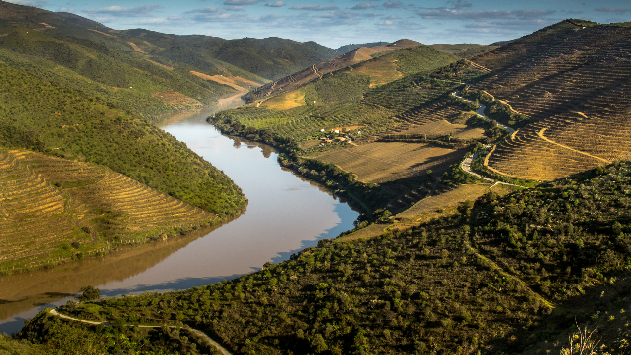 All-In-One Portuguese Course