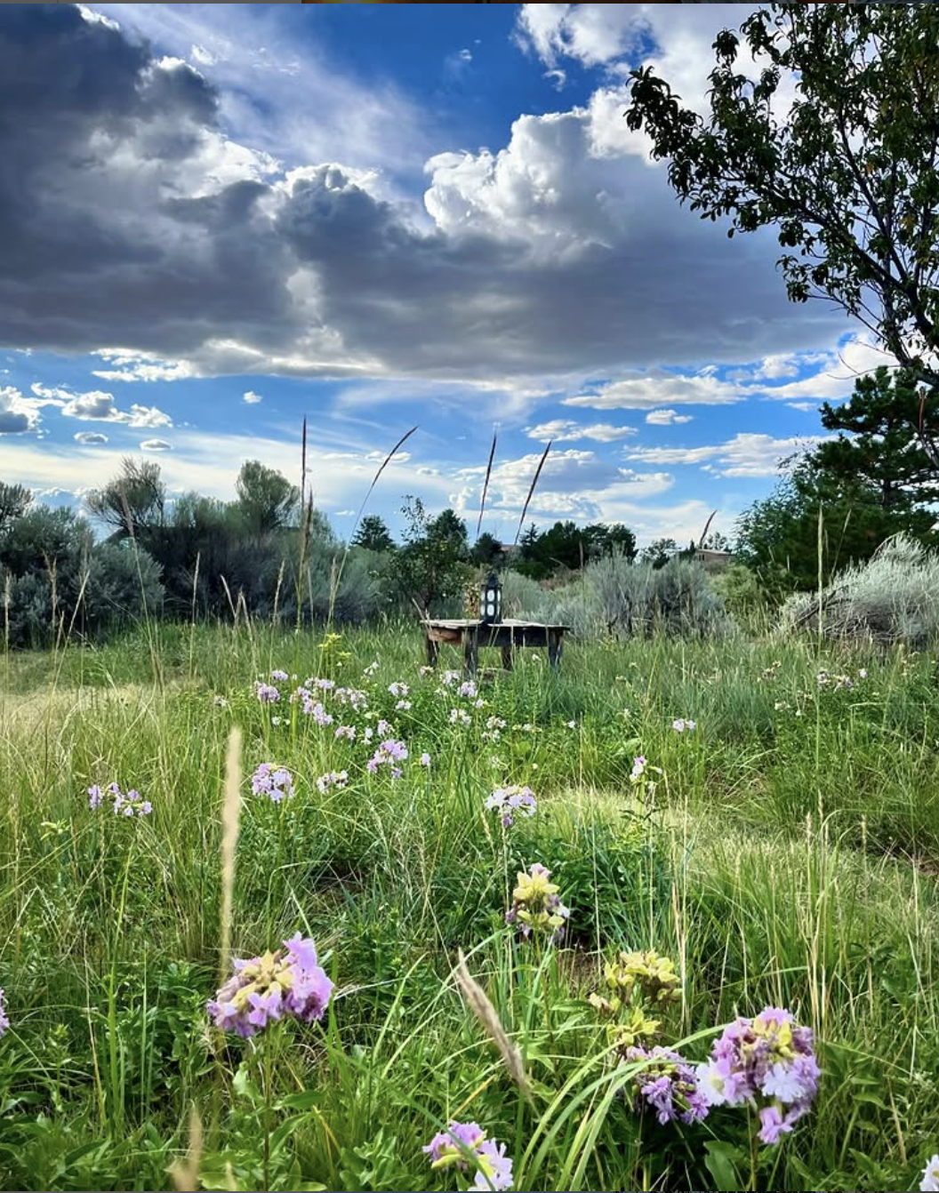 Photo by Luisa Kolker 2024