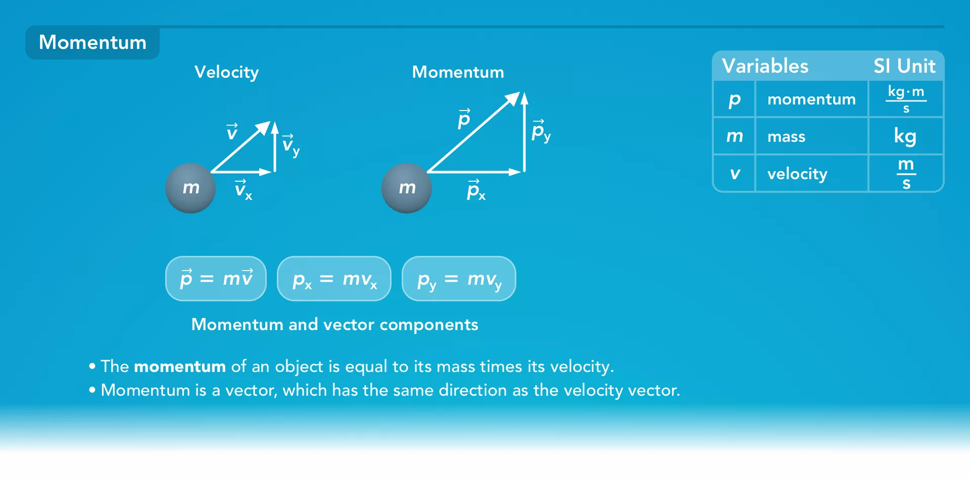 Momentum study quide