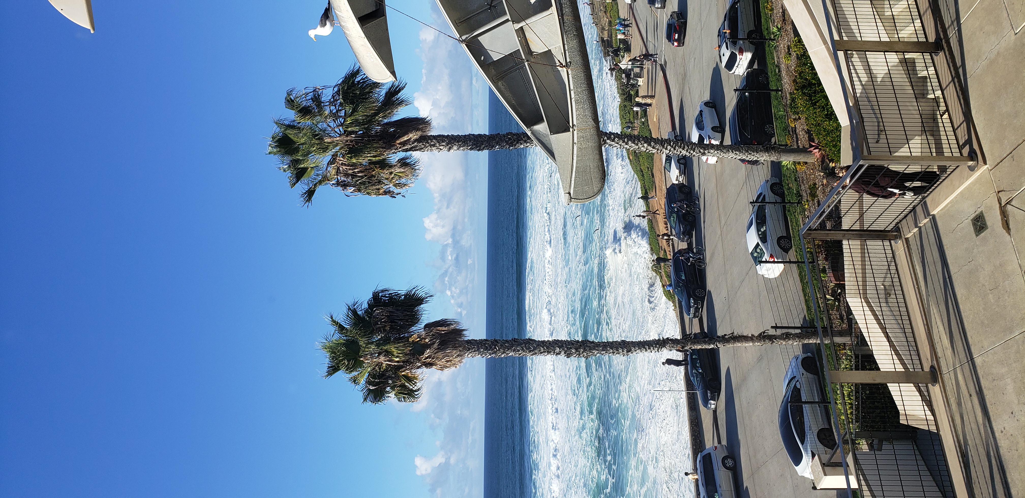 View of the Pacific Ocean from a museum of art in San Diego