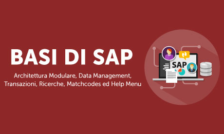 Corso-Online-Basi-di-SAP-Architettura-Modulare-Data-Management-Transazioni-Ricerche-Matchcodes-ed-Help-Menu-Life-Learning