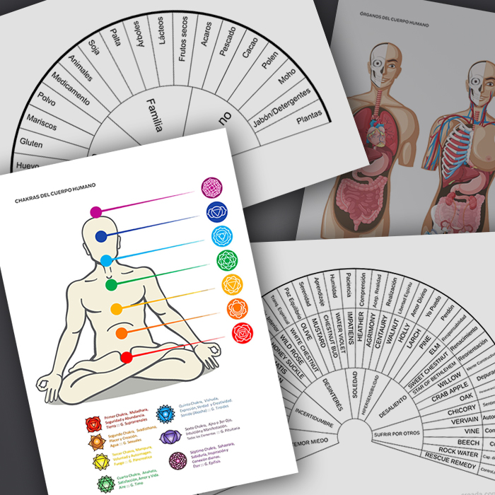 Varillas De Radiestesia Con Libro Radiestesia Y Meditación