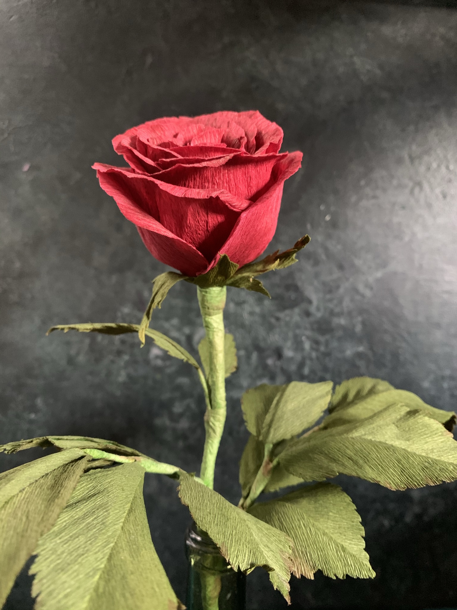 Long stemmed red rose