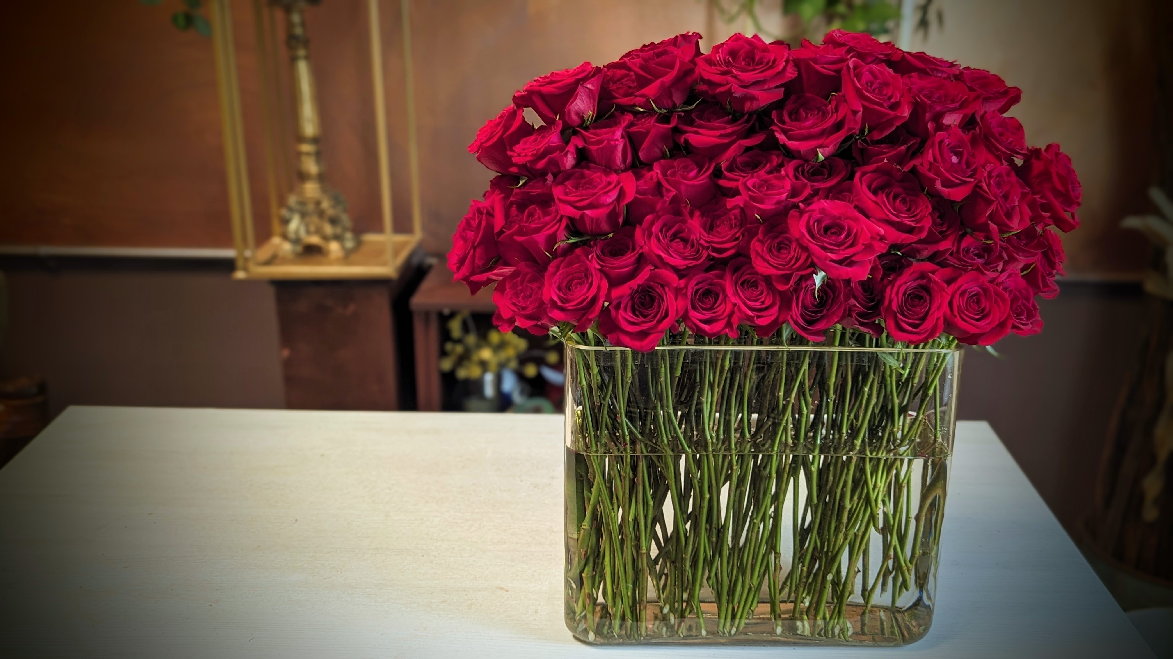 Red Roses x125 Stems
