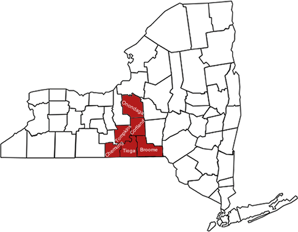 Map of New York State highlighting six counties that participate in the South Central NY Dairy and Field Crops Program