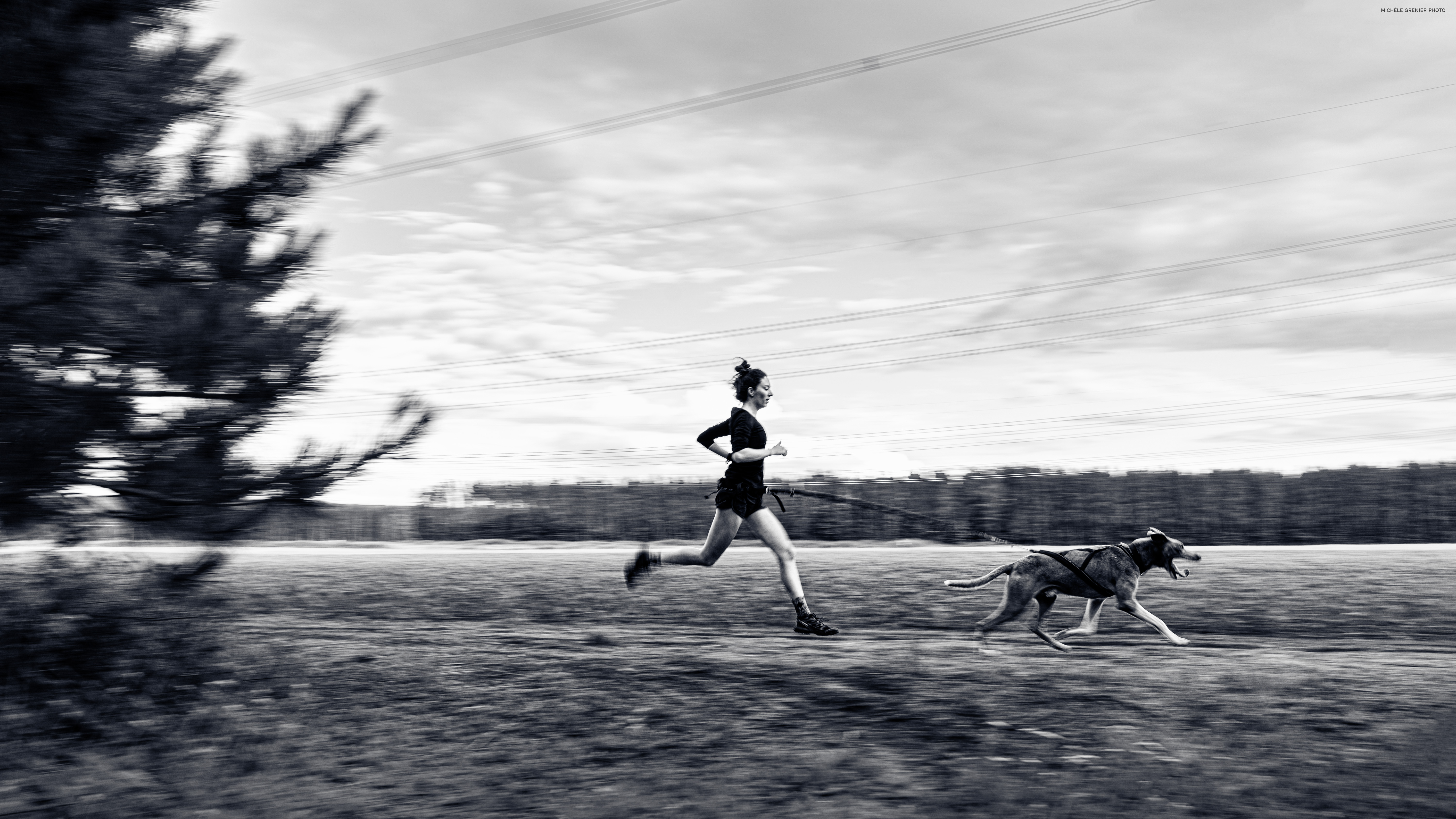 Photo en effet de filé avec une vitesse lente d&#39;une coureuse et de son chien en mouvement