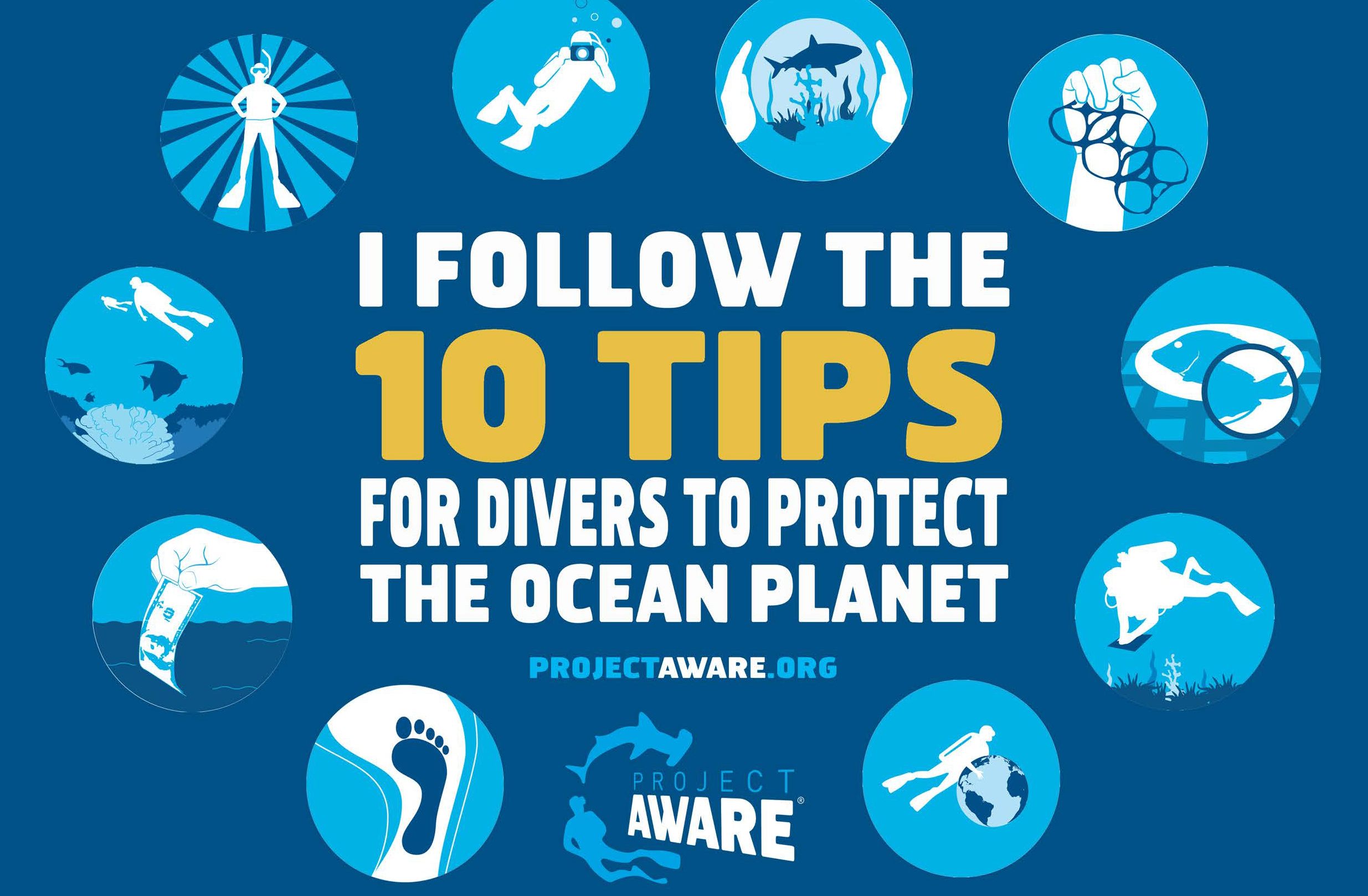 Project AWARE 10 Tips For Divers To Protect The Ocean Planet