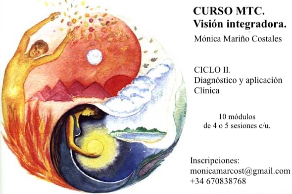 MTC integrativa III - Diagnóstico y aplicación clínica