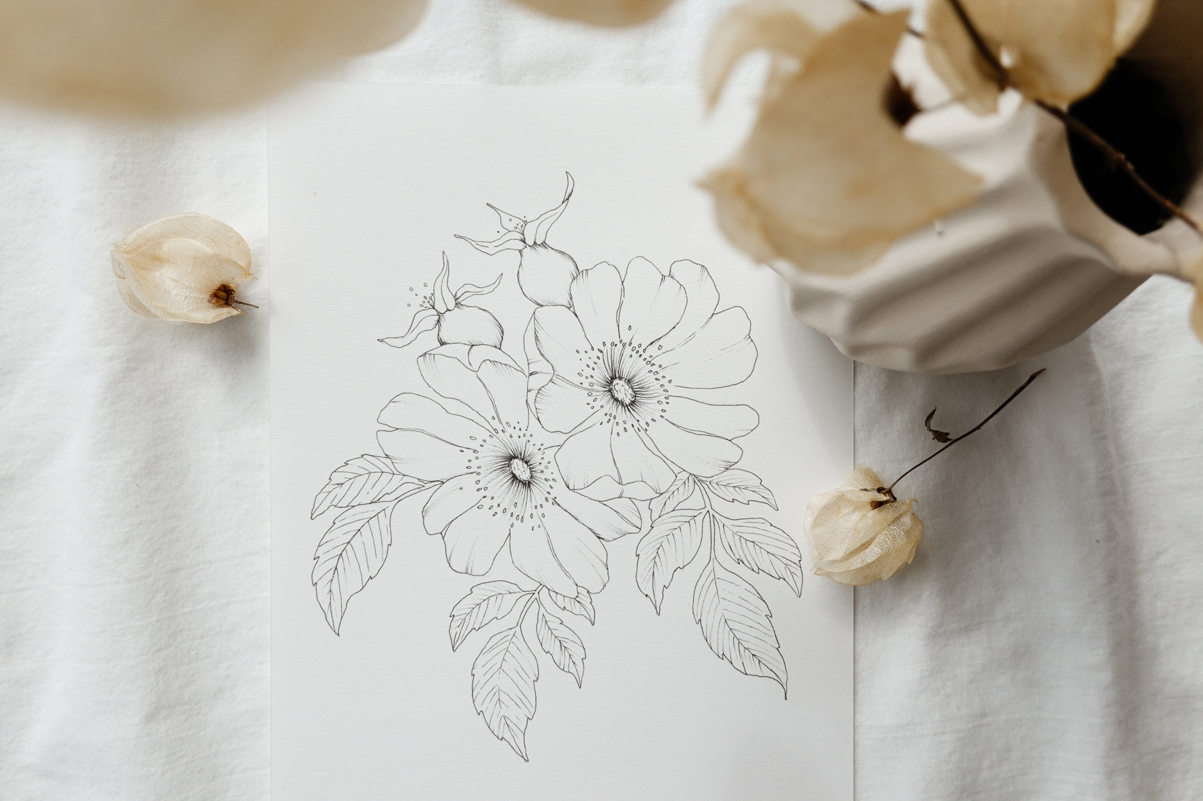 Floral OnliDrawing course Rosehip art tutorials for beginnersne drawing art classes