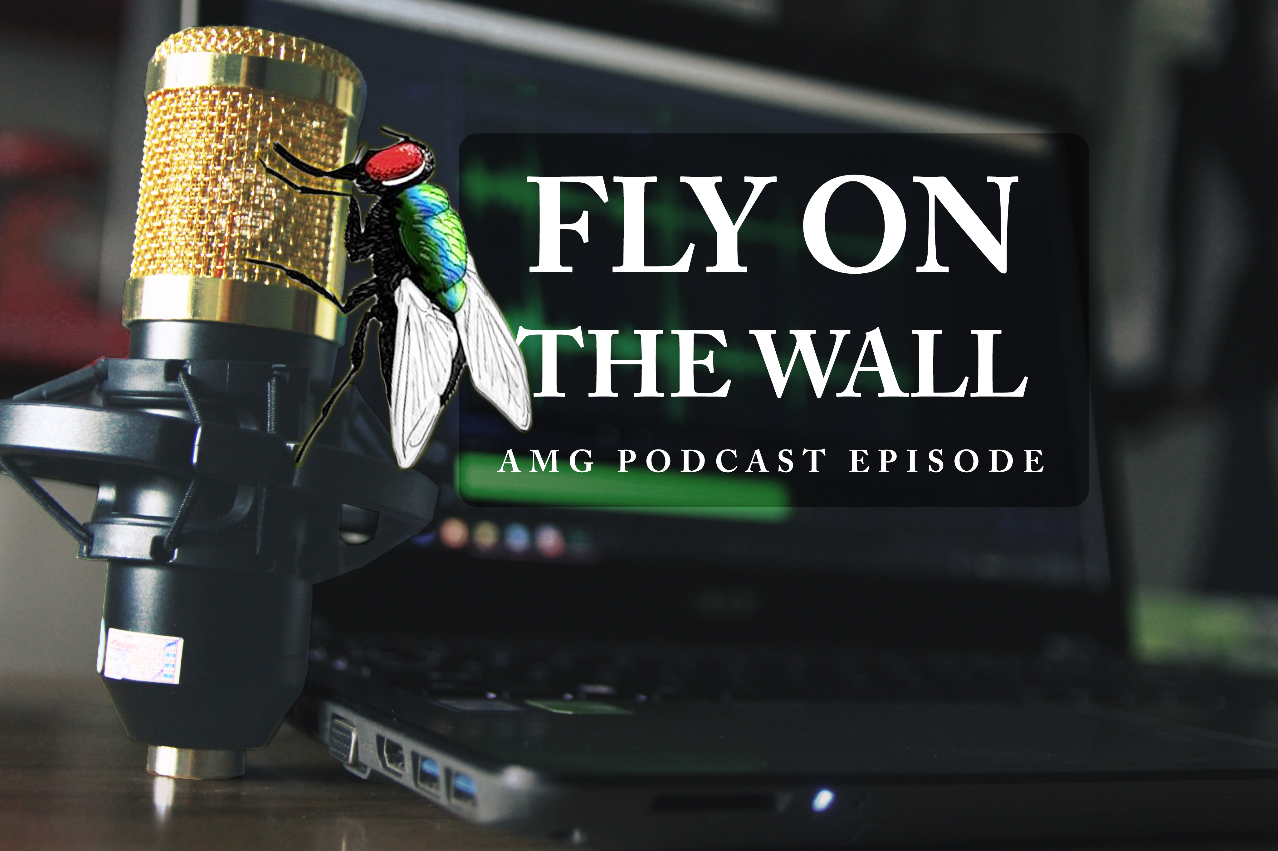 Fly on the Wall (podcast)