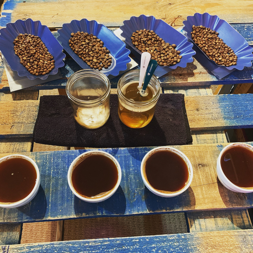 Learn all about specialty coffee in this introduction course