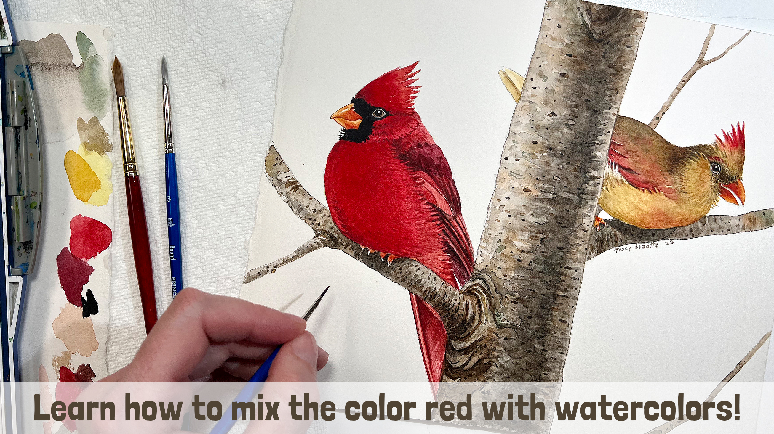 How to Paint a Pair of Cardinals Watercolor Course
