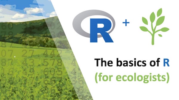 The basics of R (for ecologists) course title with the logo and landscape made of numbers shown to the left