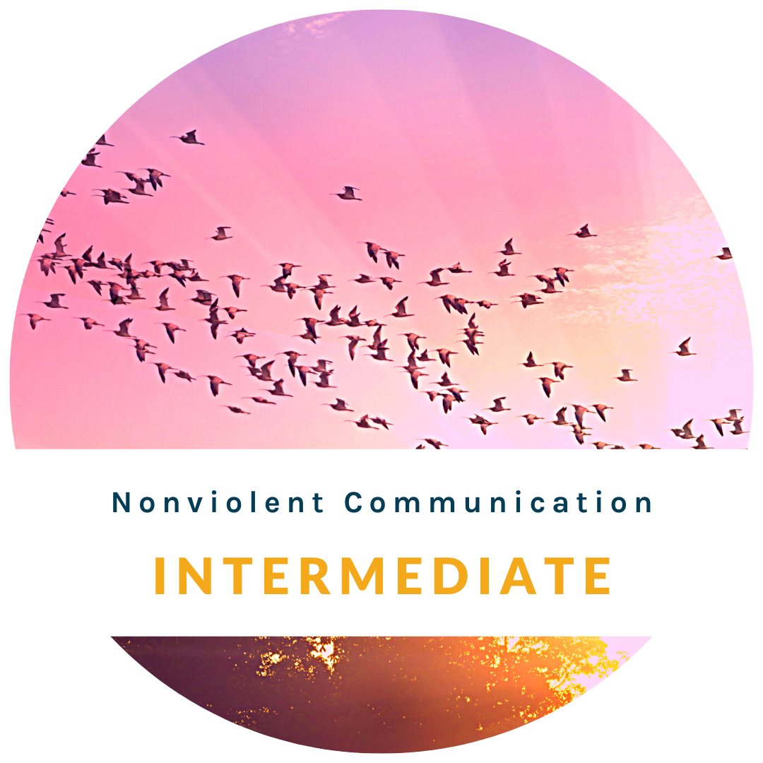 NVC Intermediate