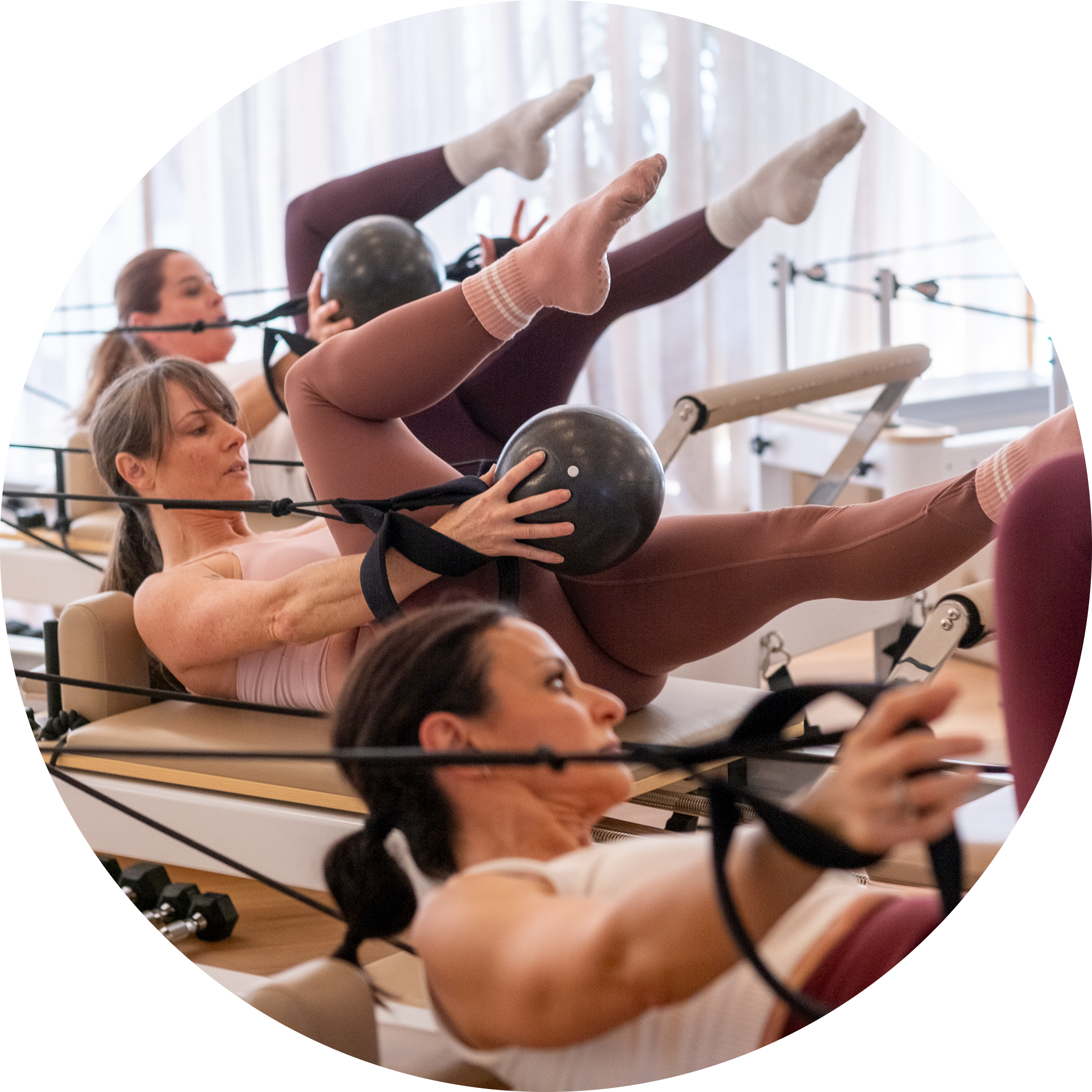 reformer pilates course online anatomy certificate certification training online face to face