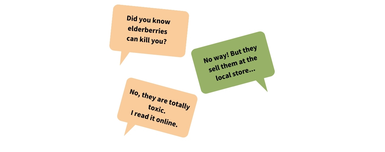 3 text bubbles. The first one says: Did you know elderberries can kill you? The second one says: No way! But they sell them at the local store... The third one says: No, they are totally toxic. I read it online