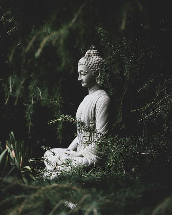 A bodhisattva statue, seated in meditation in a grove of trees
